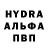 Конопля Bruce Banner ILYA GOFER