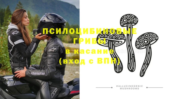 дмт Алексин