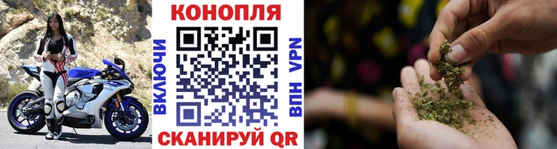 Бошки Шишки план Черноголовка